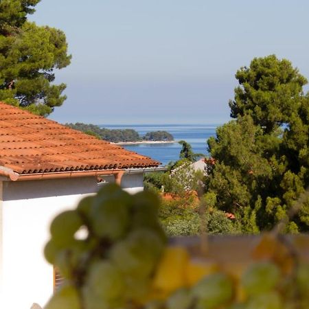 Studio Apartman Nega 2 Rovinj Kültér fotó