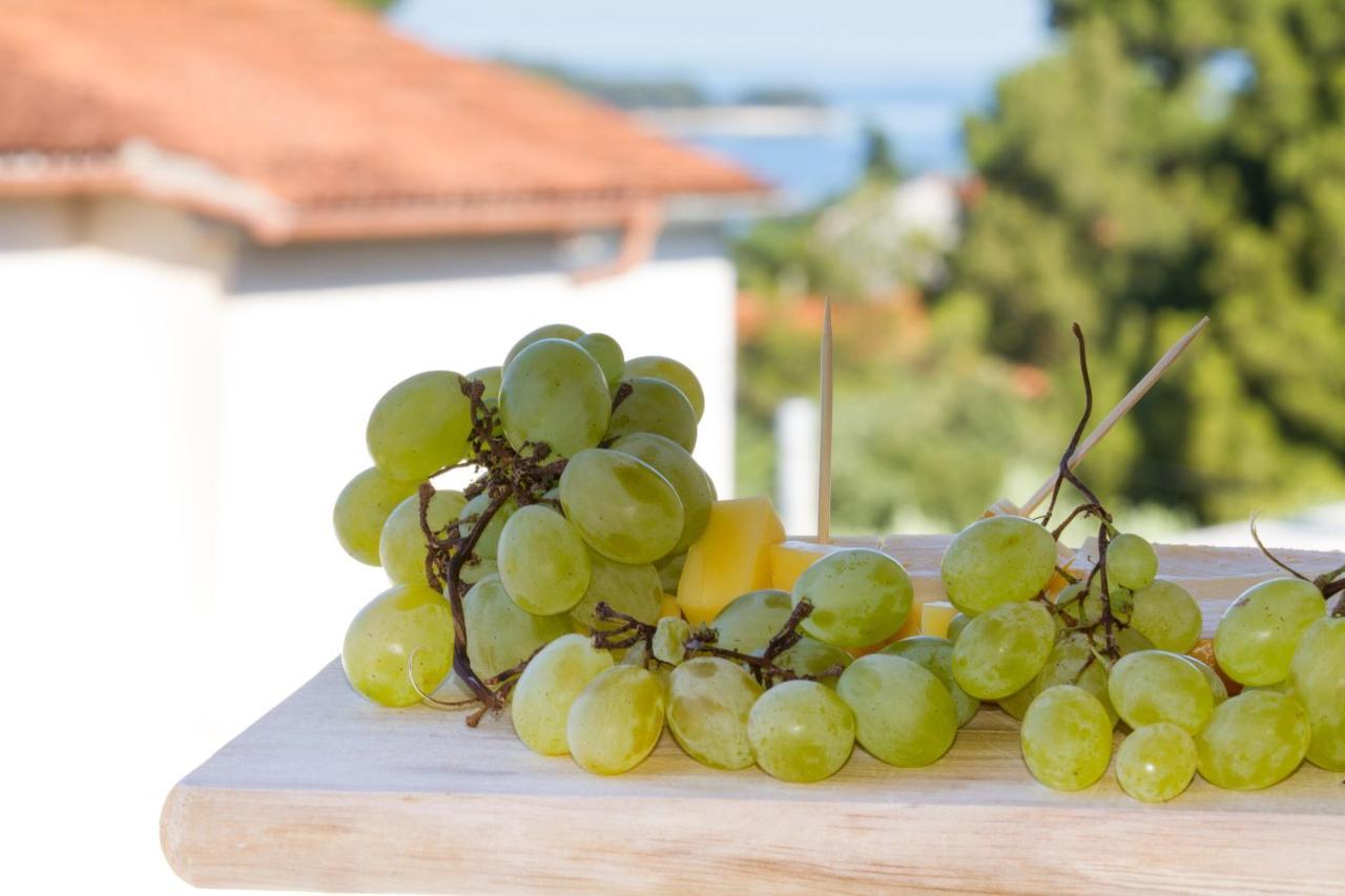 Studio Apartman Nega 2 Rovinj Kültér fotó