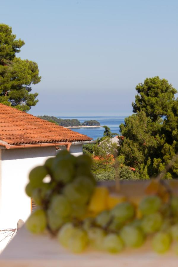 Studio Apartman Nega 2 Rovinj Kültér fotó