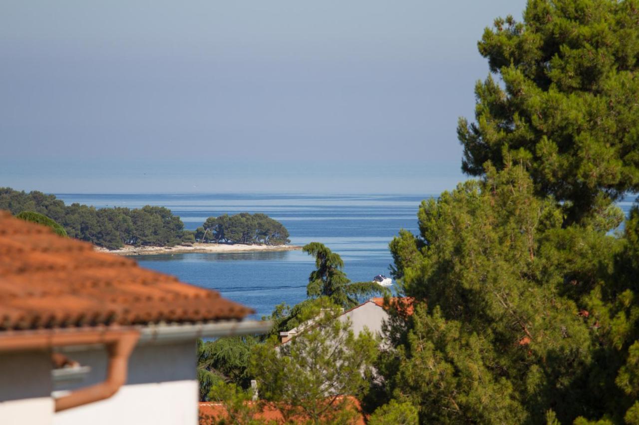 Studio Apartman Nega 2 Rovinj Kültér fotó